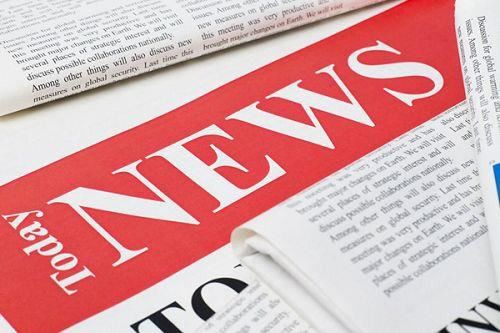 La forma correcta de preparar a un perro