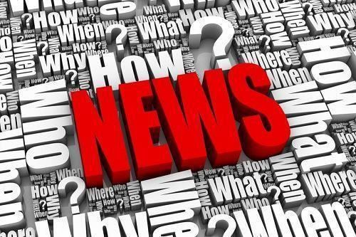 Cómo entrenar a tu perro para que adquiera habilidades en jaula